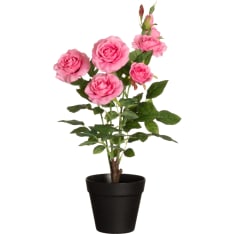 4Living 49 cm isokukkainen ruusu ruukussa