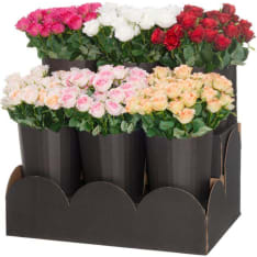 4Living Rose 47 cmassortment