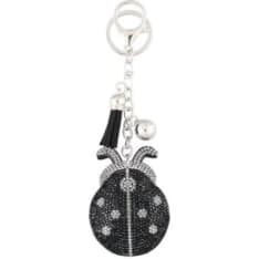Acces keychain