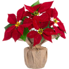 4Living Poinsettia in jute pot red 26 cm