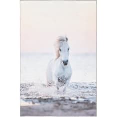 4Living Pony Dream matto