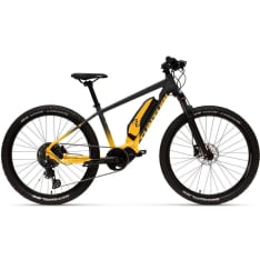 Tunturi E240 24" 9V youth electric mountain bike -25