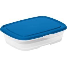 Smartstore Fresh 0,5 L blue kitchen storage box