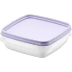 Smartstore Frost 6 x 0.3 l freezer box