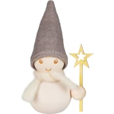 Aarikka Tähdenkantaja pakkanen