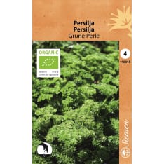 Organic parsley Grüne Perle