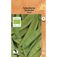 Organic pea Norli