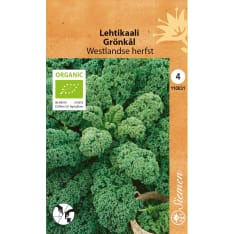 Luomu lehtikaali Westlandse herfs siemen