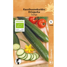 Luomu kasvihuonekurkku Sonja siemen