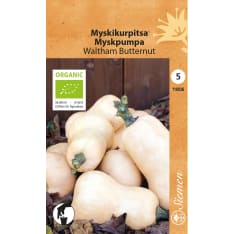 Luomu myskikurpitsa Waltham Butternut siemen