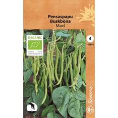 Organic bush bean Maxi
