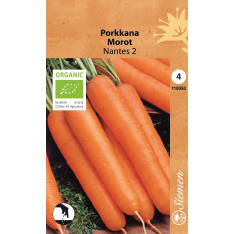 Organic carrot Nantes 2