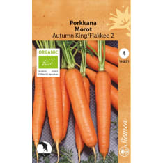 Luomu porkkana Autumn king/flakkee 2 siemen
