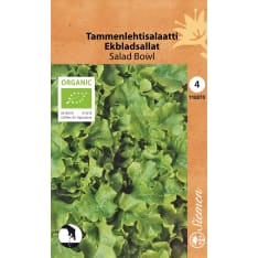 Organic lettuce Salad Bowl