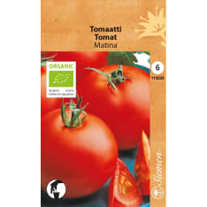 Luomu tomaatti Matina siemen