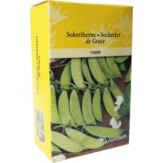 Sugar Pea De Grace 250 g box
