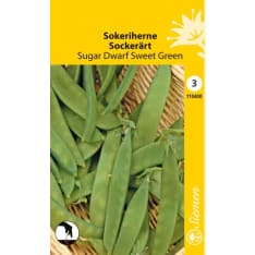 Pea Sugar Dwarf Sweet Green