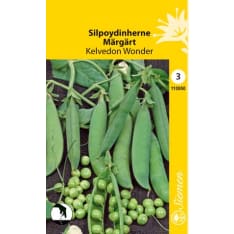 Pea Kelvedon Wonder