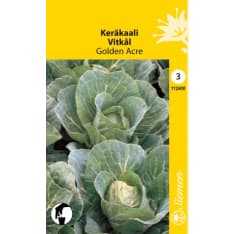 Cabbage Golden Acre