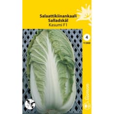 Chinese cabbage Kasumi/Gorki F1
