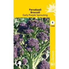 Broccoli Early Purple Sprouting