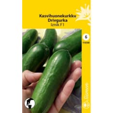 Greenhouse cucumber Iznik F1