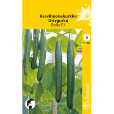 Greenhouse cucumber Bella F1
