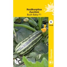 Squash Bush Baby F1