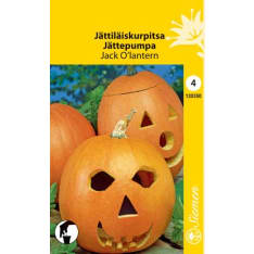 Giant pumpkin Jack O'lantern