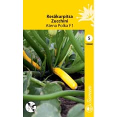 Squash Atena Polka F1