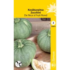 Kesäkurpitsa  De Nice a' Fruit Rond siemen
