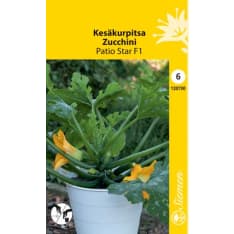 Squash Patio Star F1