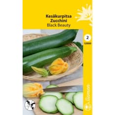 Squash Black Beauty