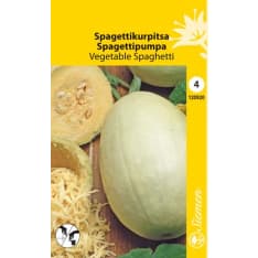 Spaghetti pumpkin Vegetable Spaghetti