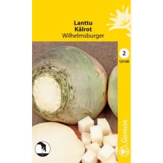 Lanttu Wilhelmsburger siemen