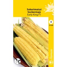 Sweet corn Early King F1
