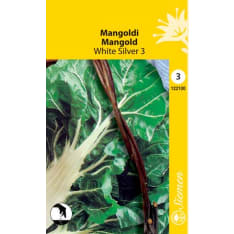 Chard White Silver 3