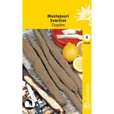 Mustajuuri Duplex siemen