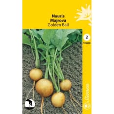 Turnip Golden Ball