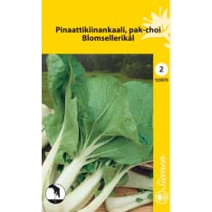 Pinaattikiinankaali Vihreä siemen