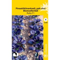 Pak choi Ruby F1