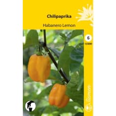 Chili pepper Habanero Lemon