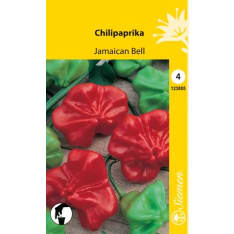 Chili pepper Jamaican Bell