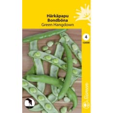 Broad bean Green Hangdown