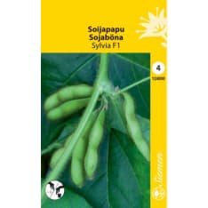 Soybean Sylvia F1