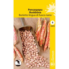 Bush bean Borlotto lingua di fuoco nano