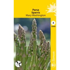Asparagus Mary Washington
