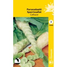 Celtuce Celtuce