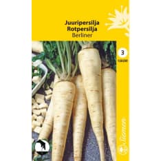 Rooted parsley Berliner