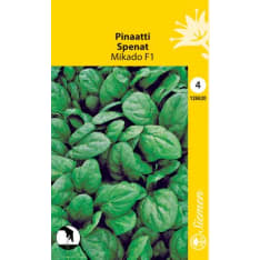 Spinach Mikado F1